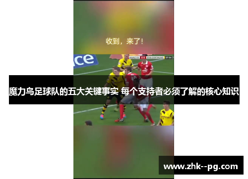 魔力鸟足球队的五大关键事实 每个支持者必须了解的核心知识